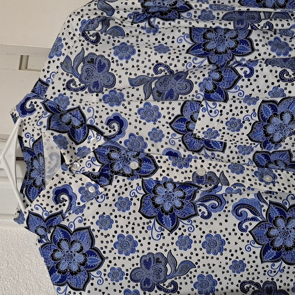 Pintlar XXL Mens Button up Western shirt, blue/white